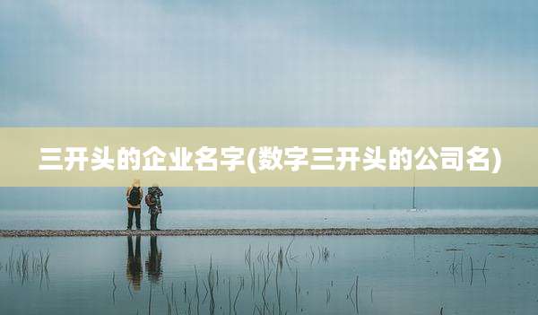 三开头的企业名字(数字三开头的公司名)