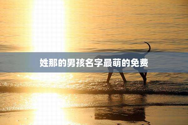 姓那的男孩名字最萌的免费