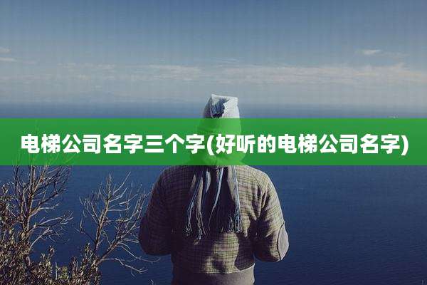 电梯公司名字三个字(好听的电梯公司名字)