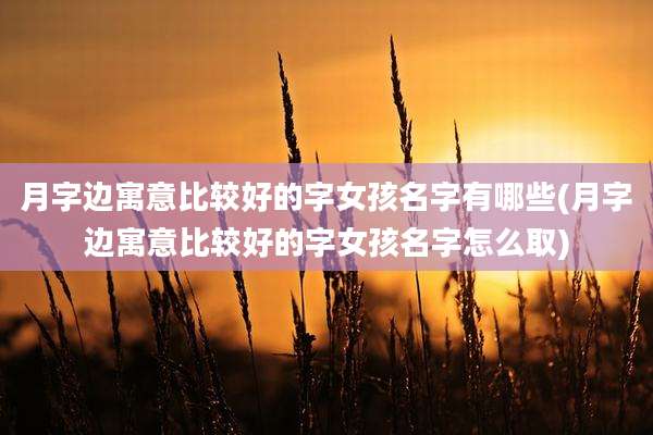 月字边寓意比较好的字女孩名字有哪些(月字边寓意比较好的字女孩名字怎么取)