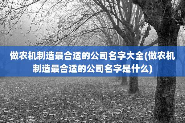 做农机制造最合适的公司名字大全(做农机制造最合适的公司名字是什么)
