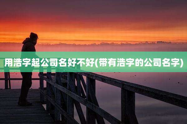用浩字起公司名好不好(带有浩字的公司名字)
