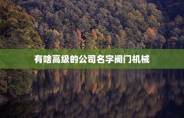 有啥高级的公司名字阀门机械