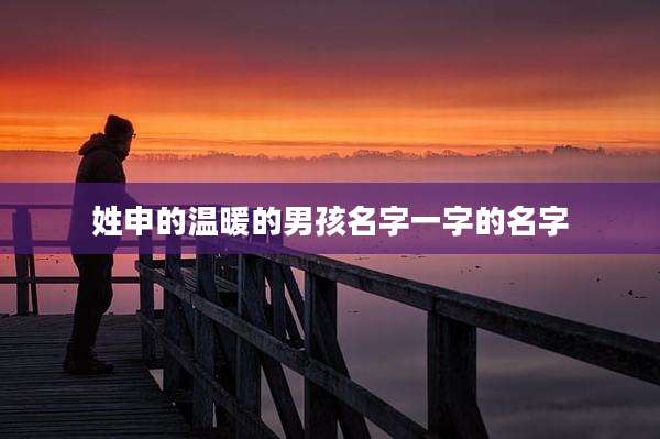 姓申的温暖的男孩名字一字的名字