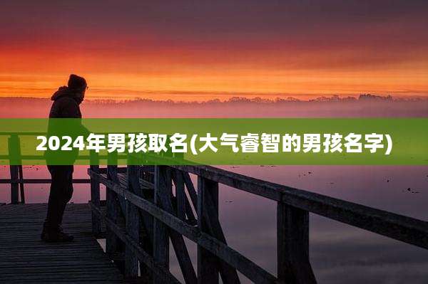 2024年男孩取名(大气睿智的男孩名字)