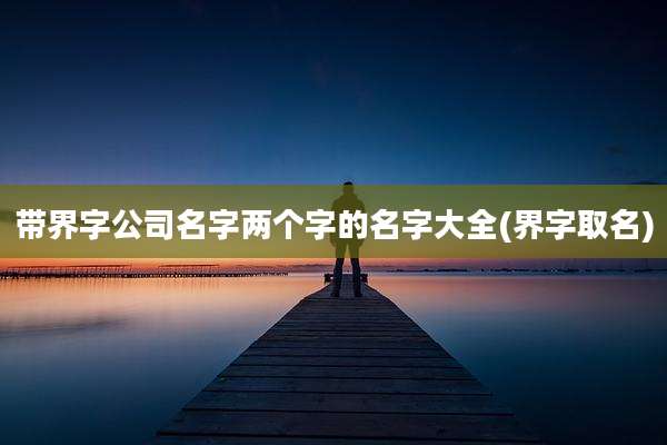 带界字公司名字两个字的名字大全(界字取名)