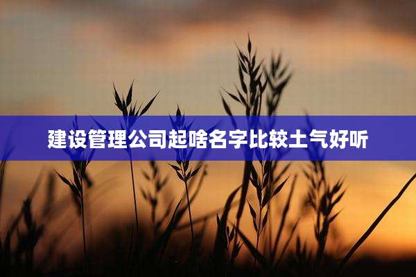 建设管理公司起啥名字比较土气好听