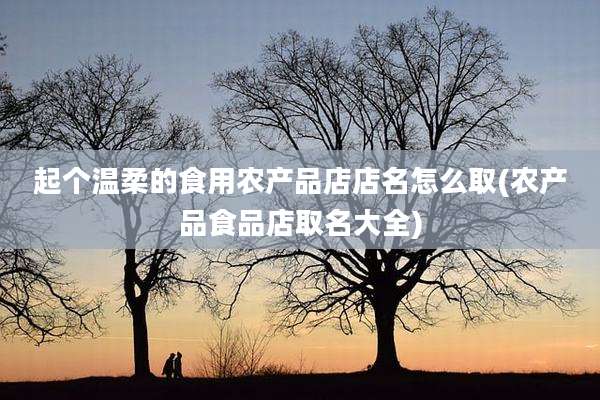 起个温柔的食用农产品店店名怎么取(农产品食品店取名大全)