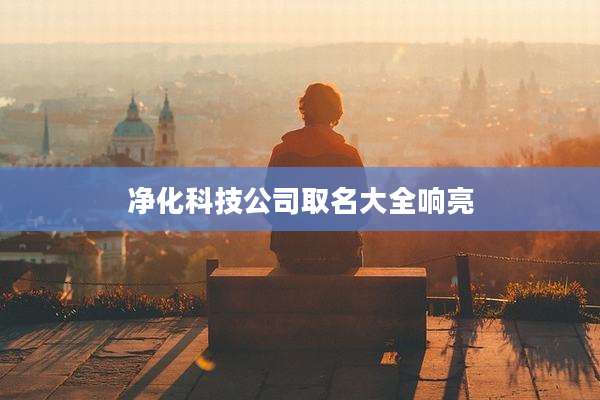 净化科技公司取名大全响亮