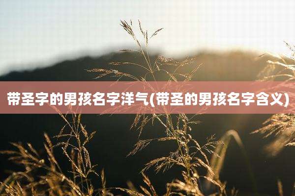 带圣字的男孩名字洋气(带圣的男孩名字含义)