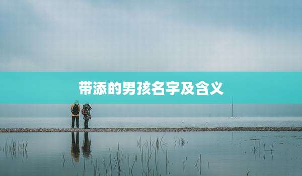 带添的男孩名字及含义