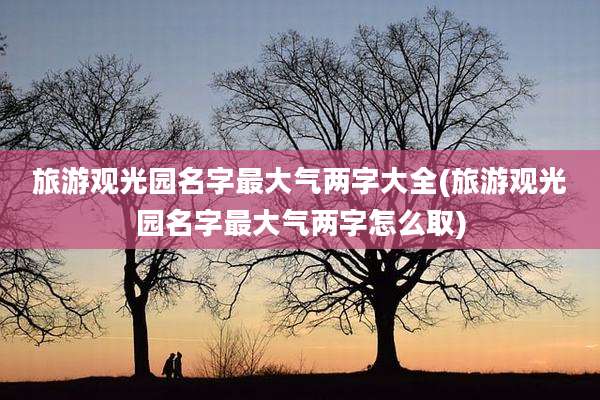 旅游观光园名字最大气两字大全(旅游观光园名字最大气两字怎么取)