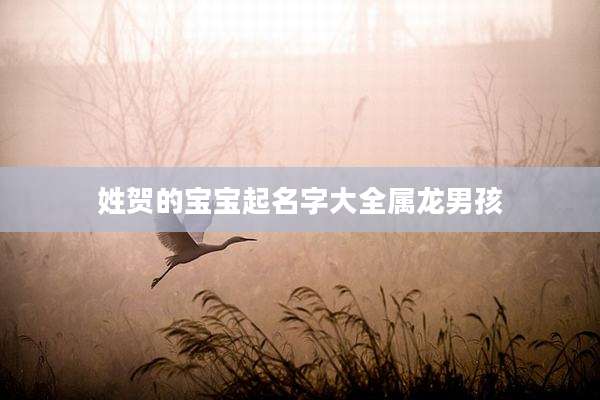 姓贺的宝宝起名字大全属龙男孩