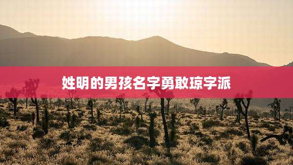 姓明的男孩名字勇敢琼字派