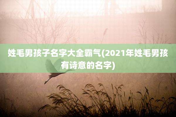 姓毛男孩子名字大全霸气(2021年姓毛男孩有诗意的名字)