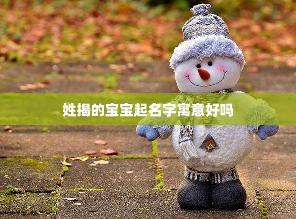 姓揭的宝宝起名字寓意好吗