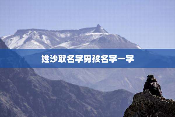 姓沙取名字男孩名字一字
