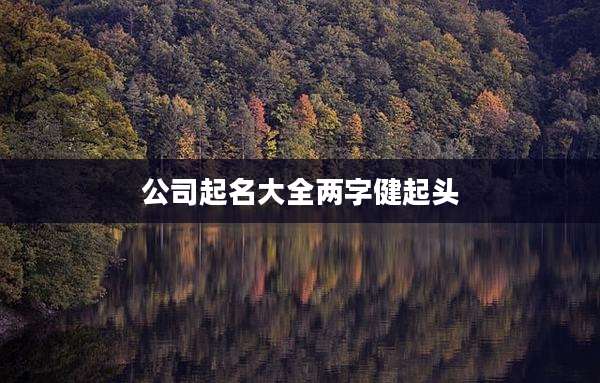 公司起名大全两字健起头