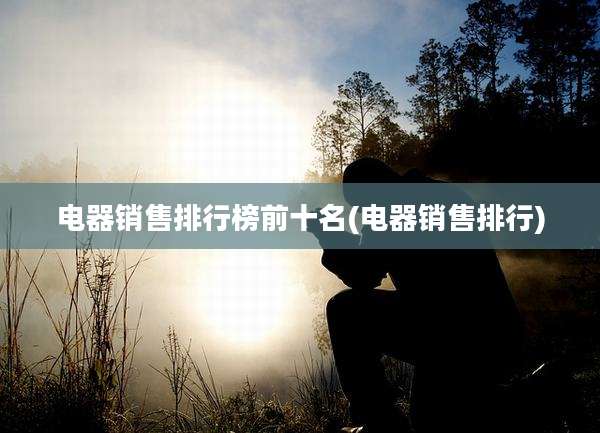 电器销售排行榜前十名(电器销售排行)