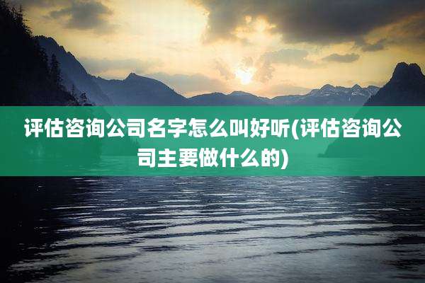 评估咨询公司名字怎么叫好听(评估咨询公司主要做什么的)