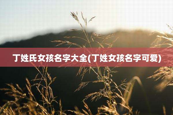 丁姓氏女孩名字大全(丁姓女孩名字可爱)