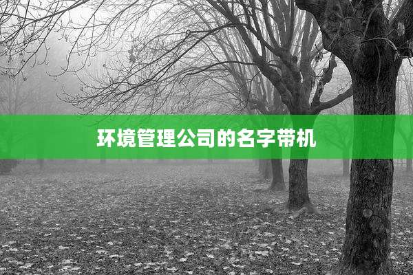 环境管理公司的名字带机