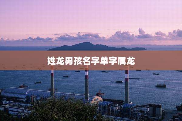 姓龙男孩名字单字属龙