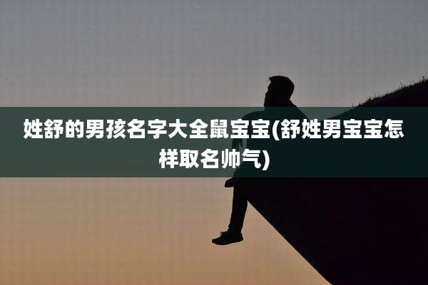 姓舒的男孩名字大全鼠宝宝(舒姓男宝宝怎样取名帅气)