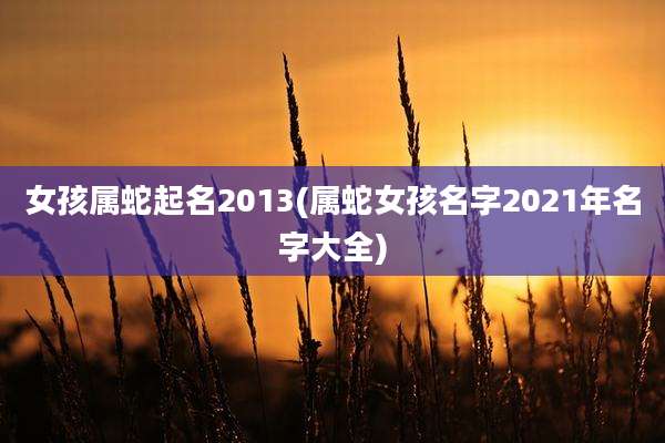 女孩属蛇起名2013(属蛇女孩名字2021年名字大全)