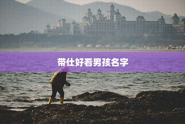 带仕好看男孩名字