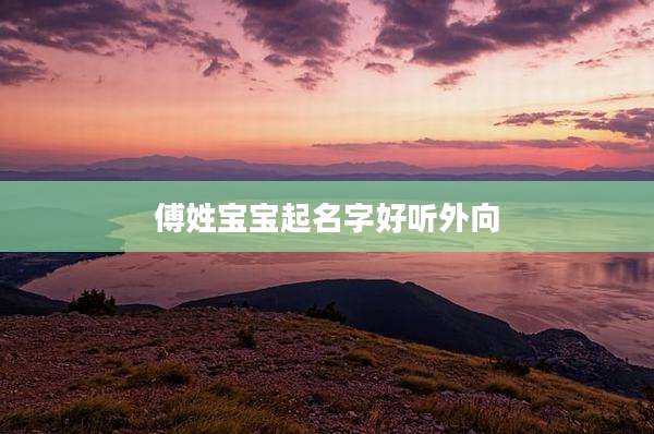 傅姓宝宝起名字好听外向