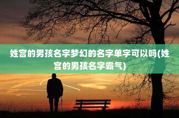 姓宫的男孩名字梦幻的名字单字可以吗(姓宫的男孩名字霸气)