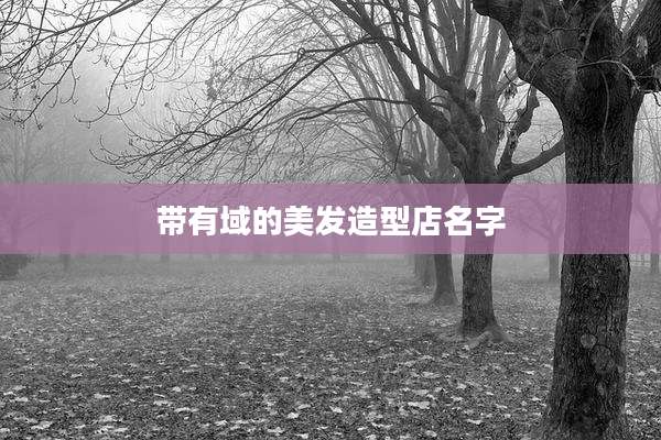 带有域的美发造型店名字
