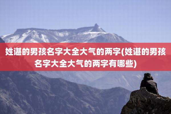 姓谌的男孩名字大全大气的两字(姓谌的男孩名字大全大气的两字有哪些)
