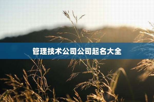 管理技术公司公司起名大全