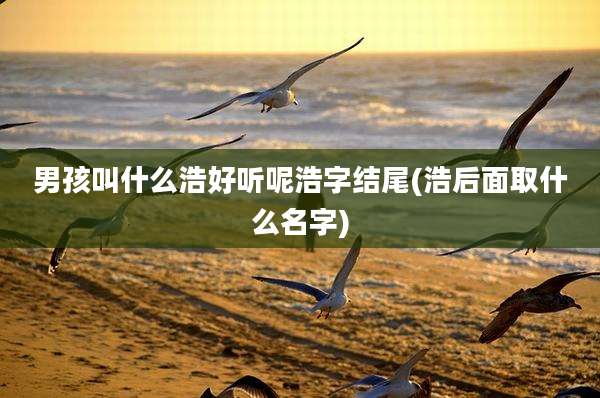 男孩叫什么浩好听呢浩字结尾(浩后面取什么名字)