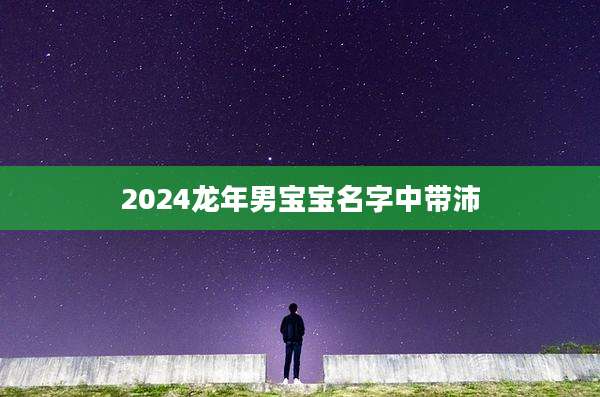 2024龙年男宝宝名字中带沛