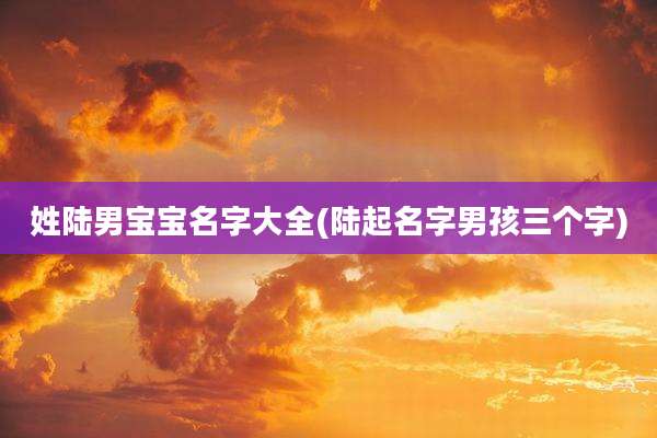 姓陆男宝宝名字大全(陆起名字男孩三个字)