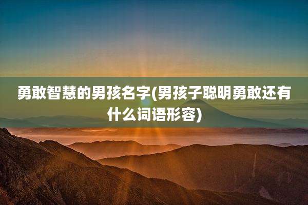 勇敢智慧的男孩名字(男孩子聪明勇敢还有什么词语形容)