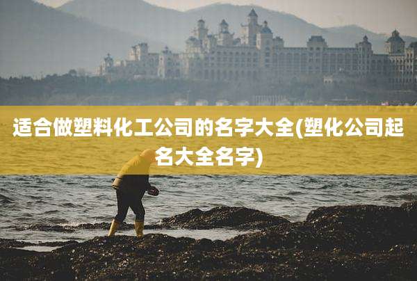 适合做塑料化工公司的名字大全(塑化公司起名大全名字)
