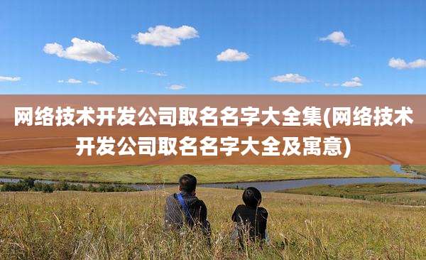 网络技术开发公司取名名字大全集(网络技术开发公司取名名字大全及寓意)