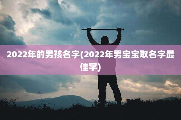 2022年的男孩名字(2022年男宝宝取名字最佳字)