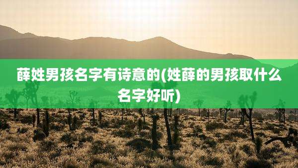 薛姓男孩名字有诗意的(姓薛的男孩取什么名字好听)