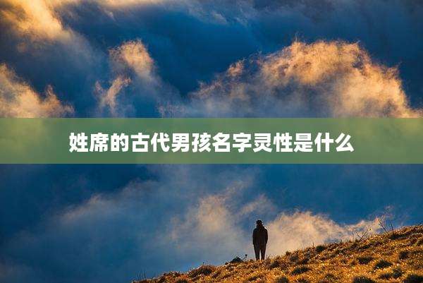 姓席的古代男孩名字灵性是什么