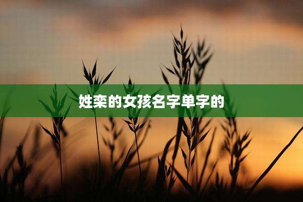 姓栾的女孩名字单字的