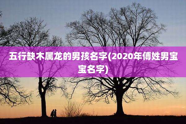 五行缺木属龙的男孩名字(2020年傅姓男宝宝名字)