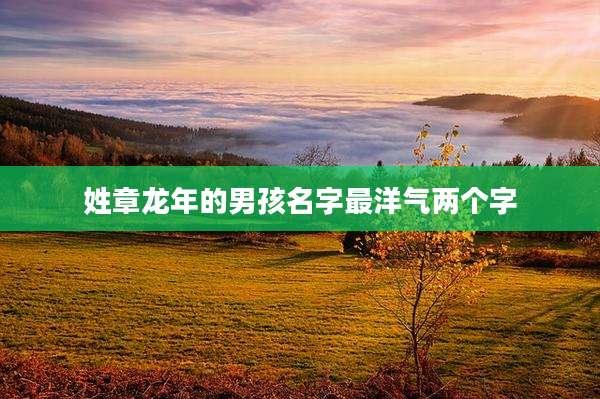 姓章龙年的男孩名字最洋气两个字