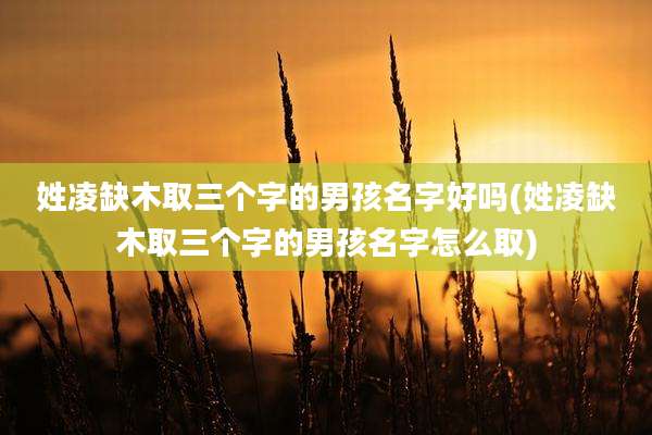 姓凌缺木取三个字的男孩名字好吗(姓凌缺木取三个字的男孩名字怎么取)