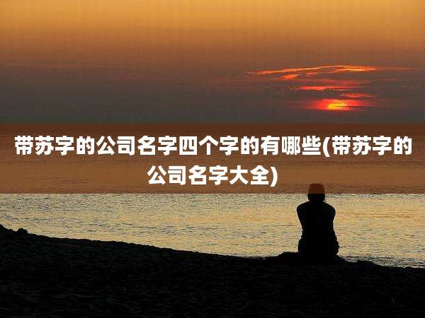 带苏字的公司名字四个字的有哪些(带苏字的公司名字大全)
