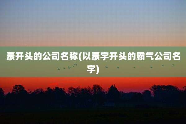 豪开头的公司名称(以豪字开头的霸气公司名字)